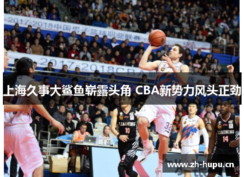 上海久事大鲨鱼崭露头角 CBA新势力风头正劲